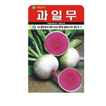 SN월드 뿌리채소 씨앗 무 당근 양파 알타리무 비트 콜라비 과일무