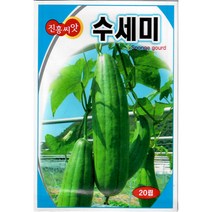 수세미 20립 - 수세미 씨앗 종자, 1개