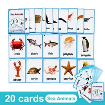 영어 카드 파닉스 단어 학습 카드 영어낱말 플래시 카드, Sea Animals 20Cards