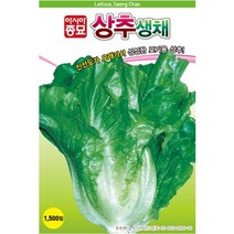 생채상추 1500립 상추씨 씨앗 대장 아시아종묘