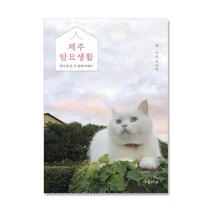 제주탐묘생활 히끄네 집 두 번째 이야기