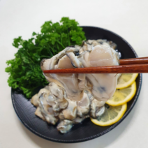 [제일수산] 통영 싱싱 생굴 1kg