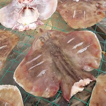 반건조 간재미 1KG 4-6미