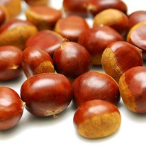 21년 햇밤 달고 맛있는 속이 꽉찬 공주 정안밤 알밤 생밤 밤, 1box, 특대-6kg