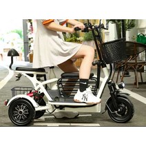 3륜바이크 세바퀴 전동차 세발 다인승 3발 이륜차, 단일 드라이브 리튬 배터리 11A 40km
