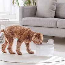 반려동물 강아지 고양이 분수 정수기 워터펫 무선 살균 정수기 자동급수 음수기 물그릇 2L 애견 애묘 물통, 본품(워터펫)
