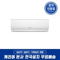 캐리어 인버터 절전형 벽걸이에어컨 16형 전국기본설치무료 DARC-0161FAWSD 거실 업소 매장 사무실, 16형 냉방 인버터 DARC-0161FAWSD