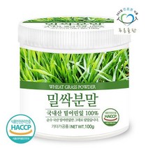푸른들판 국산 밀싹 분말 가루 100 파우더 해썹 인증 100gx1통 240457