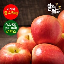 달아달아 정품사과 미시마 4.5kg(16-18과) 1박스, 단품