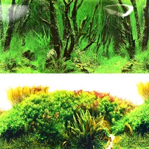 G)수족관 백스크린(30cm단위)-어항배경 그림 시트지, 단품