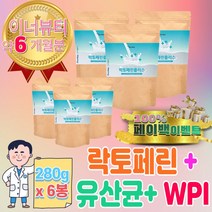 락토페린 유산균 락토 바실리 바실러스 가세리 카제이 애시도필러스 아시도필루스 복합물 람노서스 LGG 날씬 균 커플 커베터스 듀폰다니스코 루테리 식약처 인증 장용성 코팅 300 mg