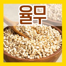 국산땅콩 씨앗 30g 알땅콩 피땅콩 종자판매 햇땅콩 파종