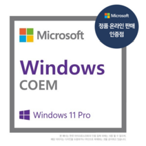 윈도우 11 프로 64bit DSP 한글 설치 제품키, windows 11 pro dsp