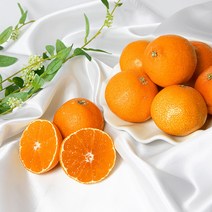 [초록자연] EM농법 서귀포 황금향 10kg 중과 제주감귤, 상세 참조, 상세페이지 참조