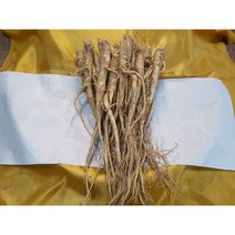 3년근 태백 도라지(반찬용 약용 정과용) 산지직송 고랭지에서 제배하여 맛과 향이 좋은 태백 도라지, 나물용도라지(중-대)1kg