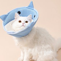 펫올리 반려동물 메쉬 넥카라, 상어