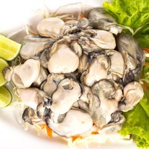 국내산 냉동굴 500g