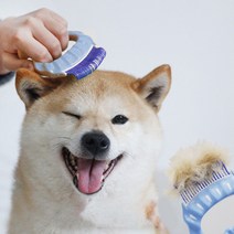강아지 고양이 조개빗 [W937DC4], 블루, 블루