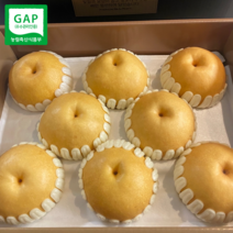 고당도 GAP 프리미엄 나주배 신고배 햇배 특품 선물세트, 1박스, 5kg (5-7과)