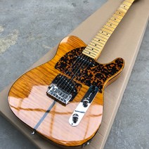 초중급 일렉기타 취미용 연습용 전자기타 동호회 프린스 HS Anderson & Hohner Madcat Mad Cat Tele 앰, 01 Guitar