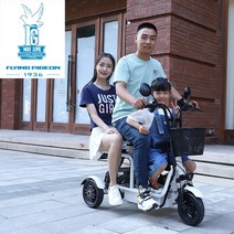 성인세발자전거 성인용세발자전거 삼륜자전거 어르신 노인 자전거비행 비둘기 전기 세발 여성 부모-자식 픽업 아기 리튬 배터리 자동차 소형 미니 더블 성인 3인승 스쿠터, 48V, Naked Car No Motor No 배터리 충