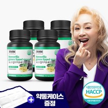 참앤들황토농원 리본허브 보스웰리아 초록입홍합 정 90정 4개+6구약통, 보스웰리아초록입홍합정 4개+6구약통1개