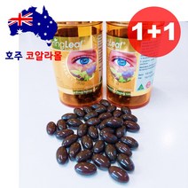 빌베리 5000mg 90캡슐 2개 눈건강 스프링리프 호주코알라몰