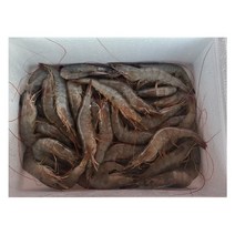 새우 1kg 80미 55미 45미, 새우 1kg 80미 내외