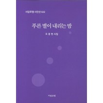 푸른 별이 내리는 밤:오종현시집, 시담포엠