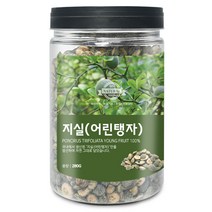 지실(국산) 280g(통) 어린탱자 열매 건강 한방 약재 차, 지실[국산] 280g[통]