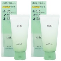 어린쑥 마일드 클렌징 폼 1+1 저자극폼클렌징 세안제