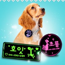 조아애드 LED강아지 이름표 사각롱, 핑크_사각롱