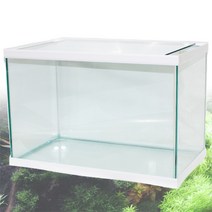 피쉬박스 엘린 60cm 넓은어항(60x35x40cm) 수조, 60 x 35 x 40cm
