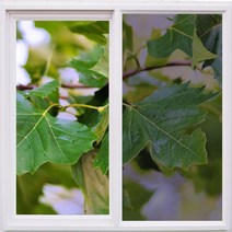 i필름 열차단필름 사생활보호 (30M롤판매) 썬팅필름, 08_CALIFORNIA35