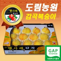 햇사레 복숭아 감곡 햇사래 백도 유명 황도 천중도 엘바더 엘바드 미백 몽부사 복숭아즙 산지직송 도림농원, 14~15과, 햇사레복숭아 4kg