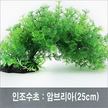 PRFISH 암브리아, 1개, 대 (27cm)