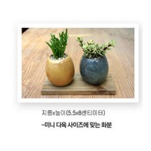 그린플랜트 화분 분갈이용품 흙 마사토 배양토 식물영양제, 화분-소형_엔틱계란(3개1세트 색상랜덤), 1개