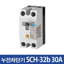 산업용 누전차단기 SCH-32b 30A (2.5kA), 1개
