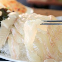 삼천포 용궁수산시장 생선회 9종 (택배 밀봉포장+초장+ 보습패드+아이스박스), 1개, 01-2_광어회_중_원물1kg(순살400g)