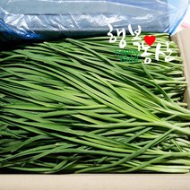 싱싱한 당일작업 부추 2~4kg, 1box, 부추2kg내외