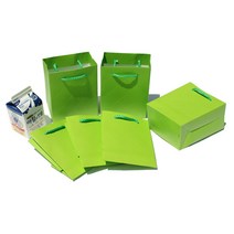 이엔그린 종이쇼핑백, 선택111)미니쇼핑백-(연녹색)옐로우그린-10매