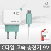 TEMPLE C타입 G5 V20 고속 9V 퀵차지 유선충전기 가정용 일체형, 템플러 C타입 고속충전기