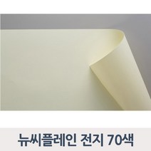 종이문화 뉴씨플레인 120g 전지 낱장 70색, 37_밝은빨강색