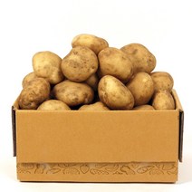 [농부마음] 맛있는 23년 햇 감자, 10kg(중/소/통구이용), 1박스