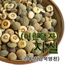 풀잎약초 지실 300g 국내산 어린탱자, 1개
