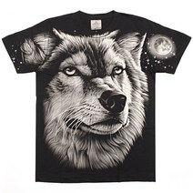 Rock Eagle 반팔티 TS653