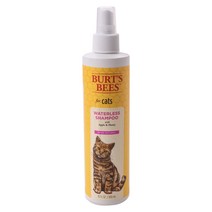 버츠비 워터리스 고양이 전용 샴푸 애플 & 허니, 1개, 300ml