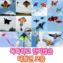 씨엠월드 유니크한 인기만점 대형연 모음 선택(낙하산 천 재질), 03_2.비행기연 파랑