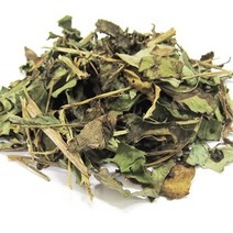 갑당약초 어성초차 300g, 1개