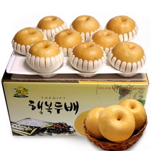 소담촌 2023 수확 햇배(가정용/흠과), 1박스, 15kg(21~25과)/중대과